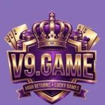 V9 Game