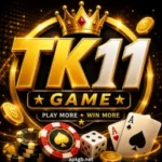 Tk11 app